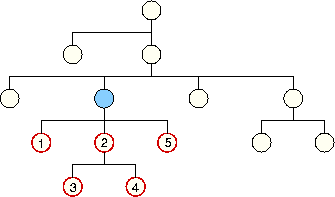 descendant-Achse